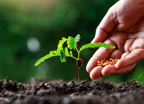 quienes-somos-agrinter-semillas